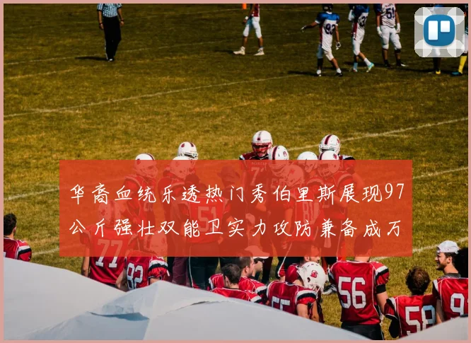 华裔血统乐透热门秀伯里斯展现97公斤强壮双能卫实力攻防兼备成万金油之选