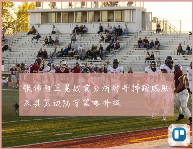 张伟丽卫冕战前分析对手摔跤威胁及其笼边防守策略升级